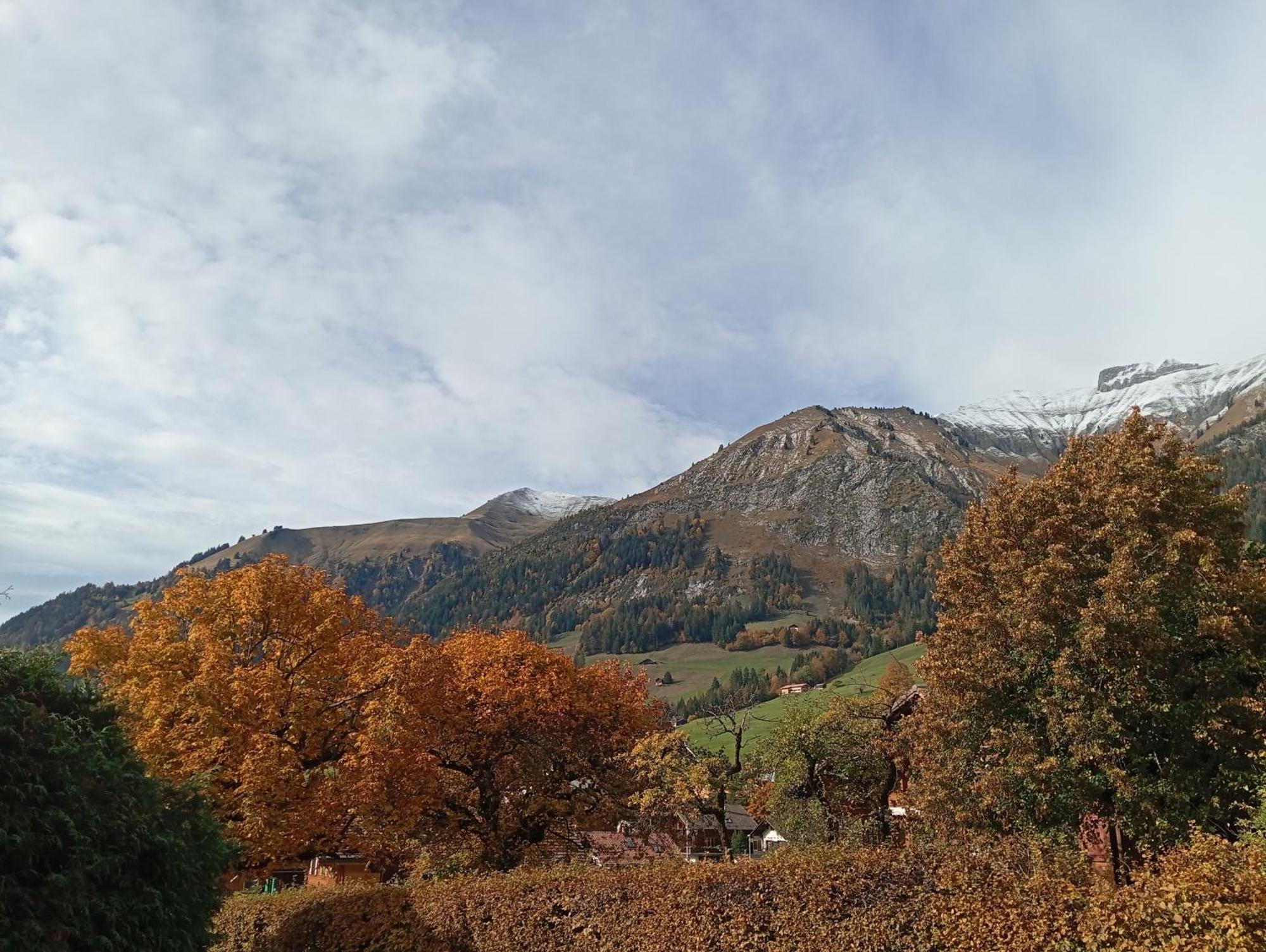 Cozy Apartment In The Heart Of The Alps Chateau-d'Oex Quarto foto